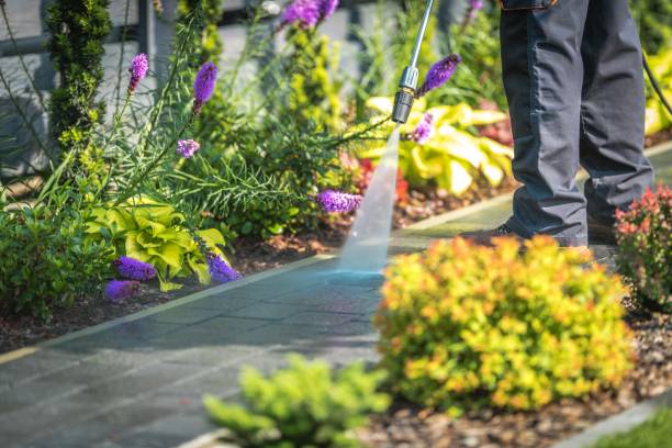 Best Dumpster Area Cleaning  in Mount Union, PA